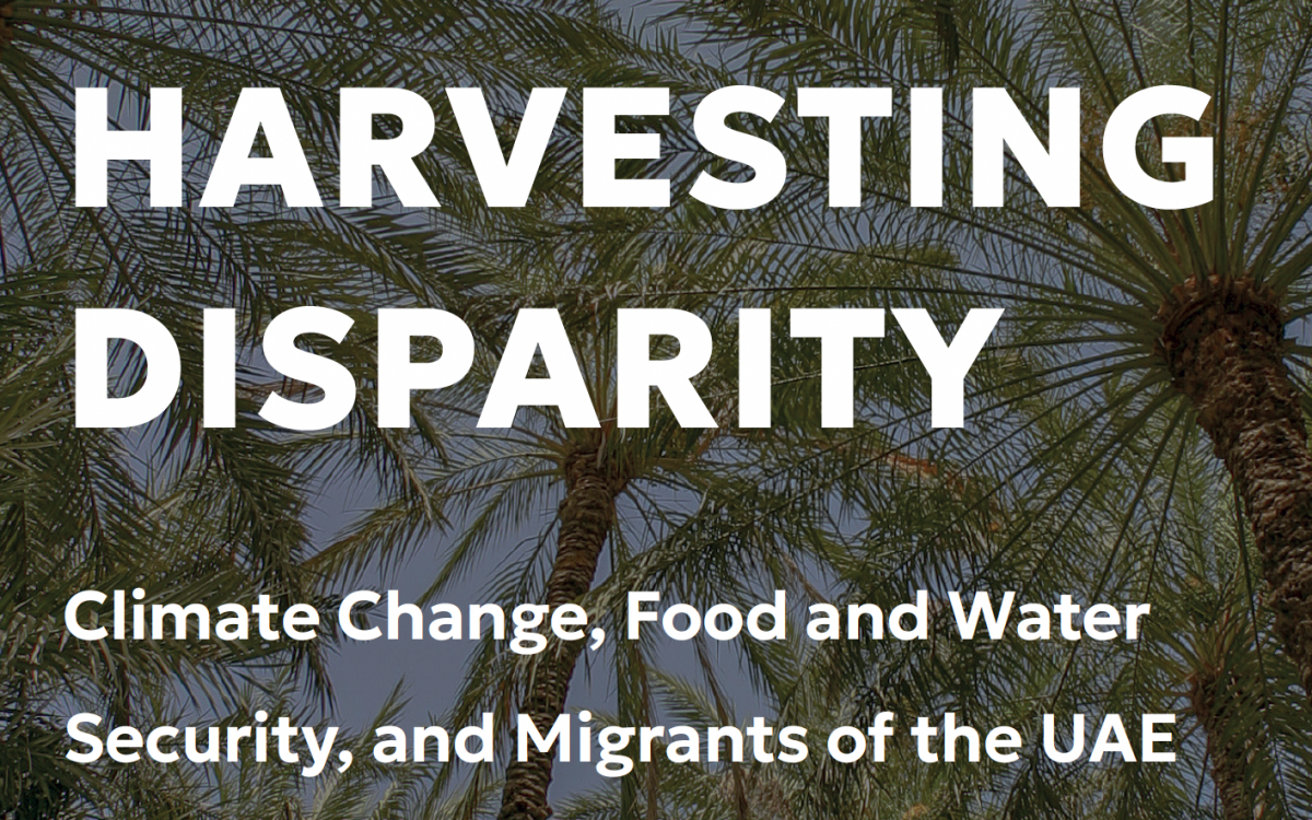 New report on COP28’s food and agriculture image and UAE’s migrant workers